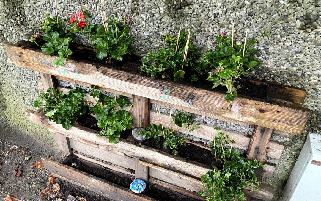 Activité périscolaire élémentaire bricolage – jardinage, les mardis de 16h à 17h : nouveau programme